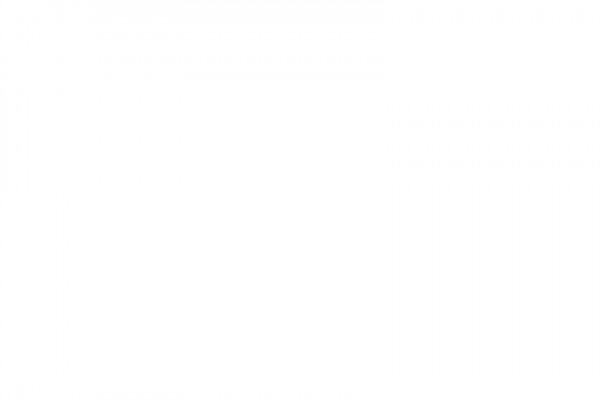 Ihre Ansprechpartner